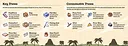 Toni Island Adventure: Booklet Screenshot 2
