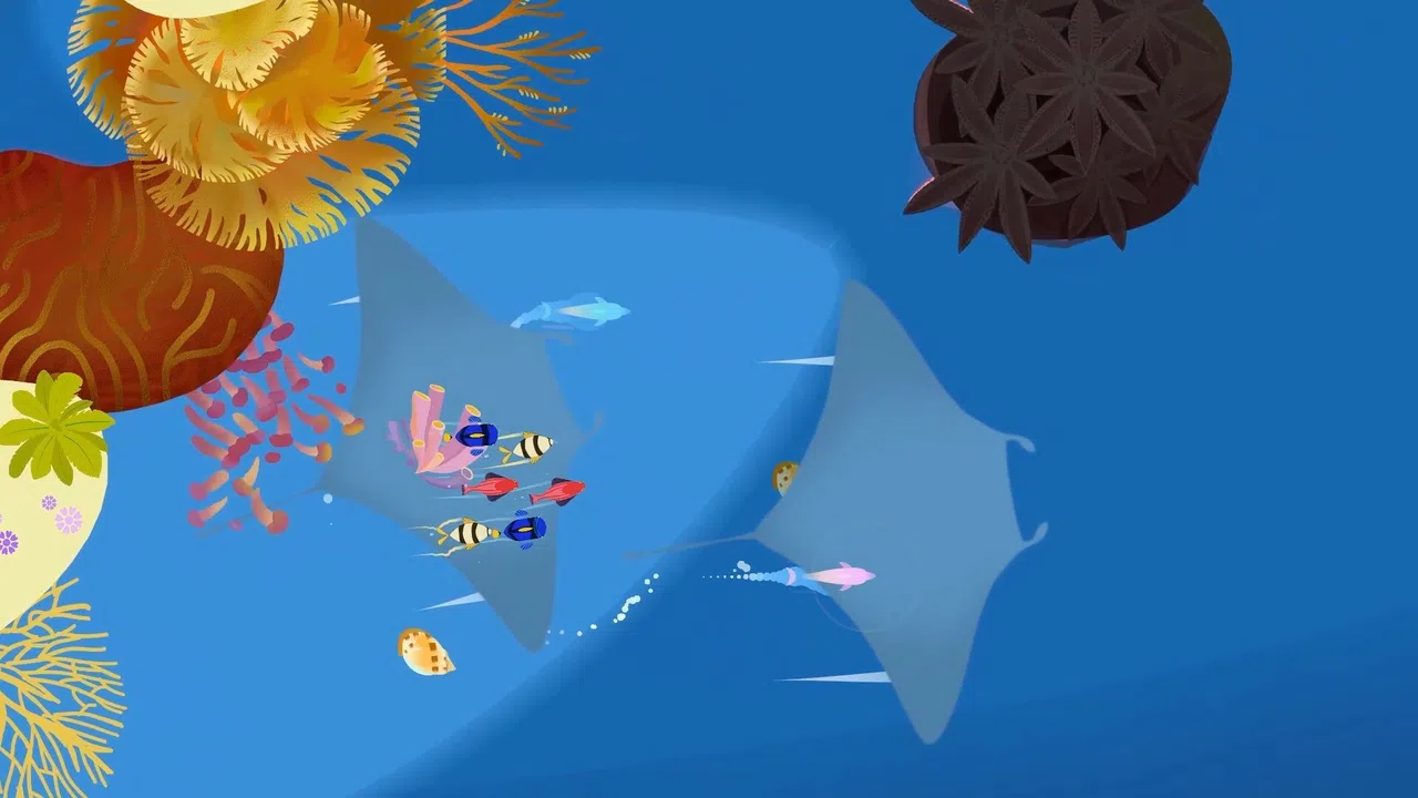 Delfini Screenshot 3