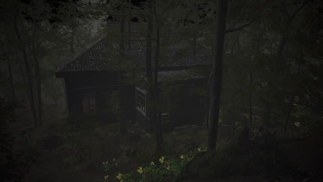 The Overnight Screening Screenshot 4