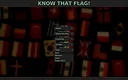Know That Flag! Screenshot 8