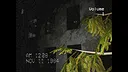 The Silent Witness Demo Screenshot 4