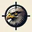 Eagle Eye