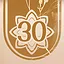 30 icon