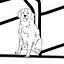 Spay icon