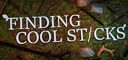 Finding Cool Sticks