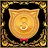Gold Award