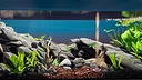 Fish Game - Substrate Variety Pack 1 Screenshot 3