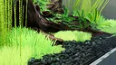 Fish Game - Substrate Variety Pack 1 Screenshot 0