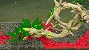Fish Game - Substrate Variety Pack 1 Screenshot 2