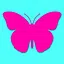 Butterfly icon