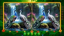 BirdQuest  Find the Difference Screenshot 3