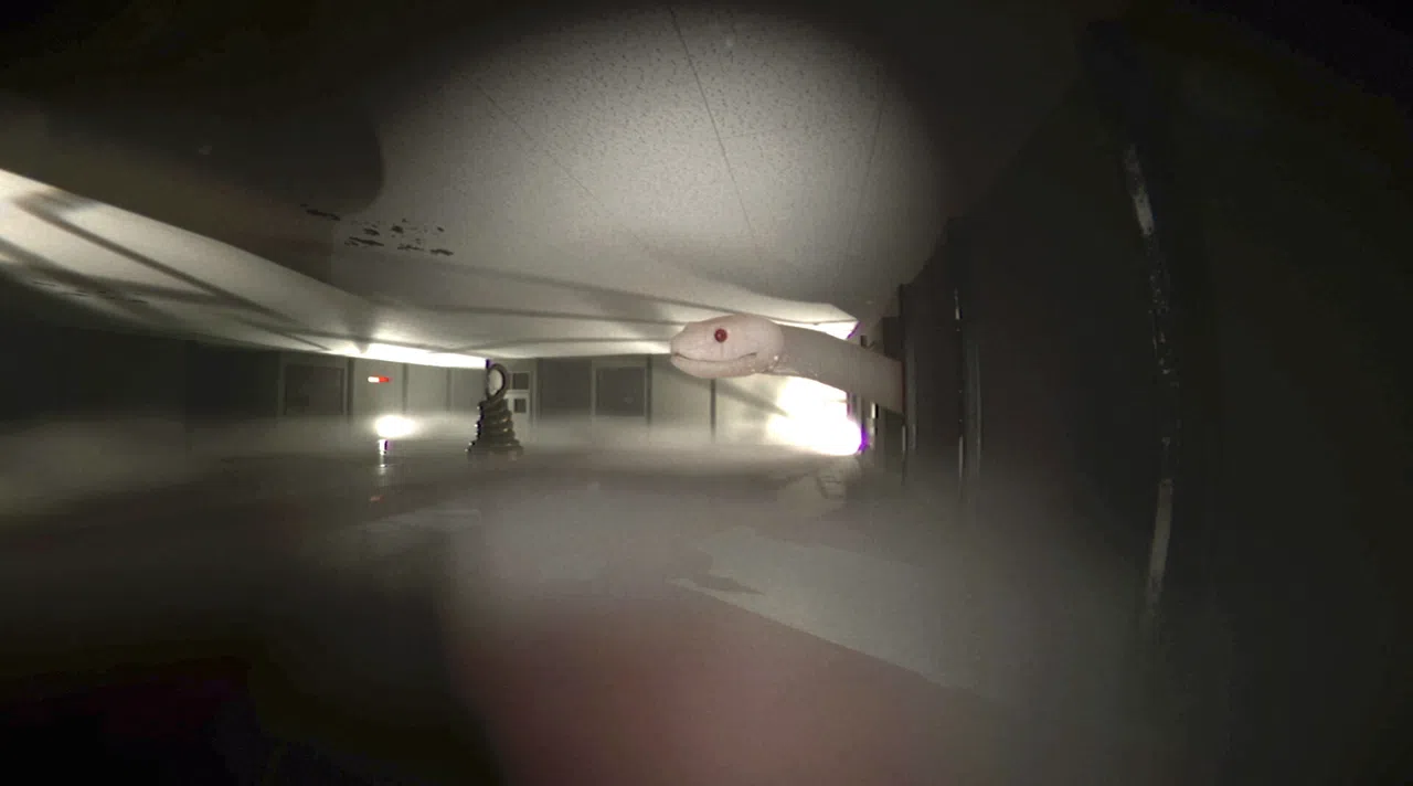 Digested Demo Screenshot 2