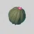 Dunes Expert