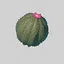 Dunes Expert icon