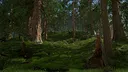 Reverse Immortal Screenshot 4