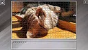 Super Jigsaw Puzzle: Generations - Cats 3 Screenshot 8