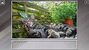 Super Jigsaw Puzzle: Generations - Cats 3 Screenshot 16