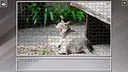 Super Jigsaw Puzzle: Generations - Cats 3 Screenshot 5