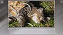 Super Jigsaw Puzzle: Generations - Cats 3 Screenshot 26