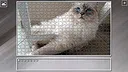 Super Jigsaw Puzzle: Generations - Cats 3 Screenshot 4