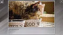 Super Jigsaw Puzzle: Generations - Cats 3 Screenshot 17