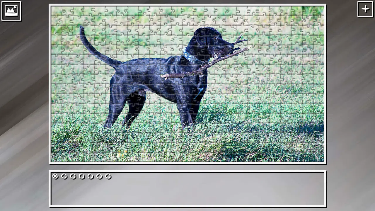Super Jigsaw Puzzle: Generations - Dogs 3 Screenshot 9