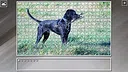 Super Jigsaw Puzzle: Generations - Dogs 3 Screenshot 9