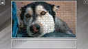 Super Jigsaw Puzzle: Generations - Dogs 3 Screenshot 28