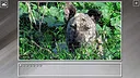 Super Jigsaw Puzzle: Generations - Dogs 3 Screenshot 20