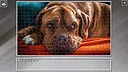 Super Jigsaw Puzzle: Generations - Dogs 3 Screenshot 7