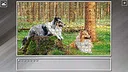 Super Jigsaw Puzzle: Generations - Dogs 3 Screenshot 0