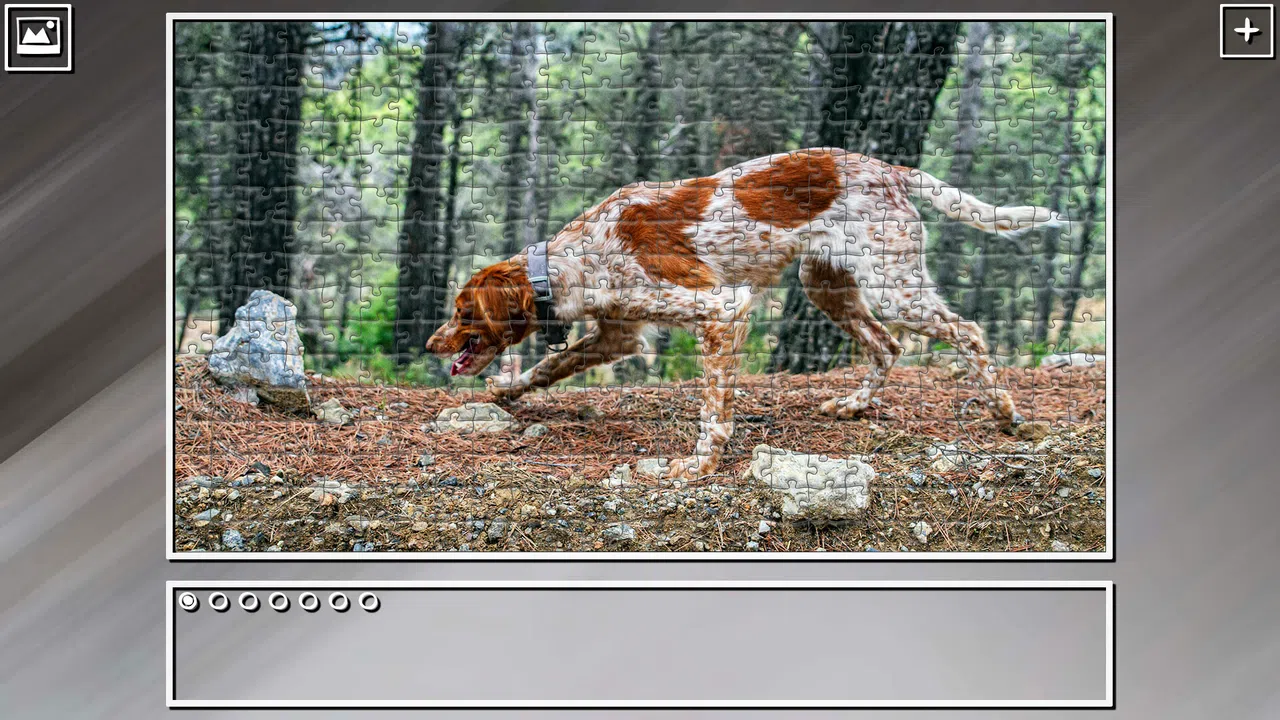 Super Jigsaw Puzzle: Generations - Dogs 3 Screenshot 22