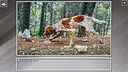 Super Jigsaw Puzzle: Generations - Dogs 3 Screenshot 22