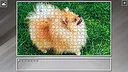 Super Jigsaw Puzzle: Generations - Dogs 3 Screenshot 19