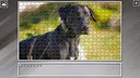 Super Jigsaw Puzzle: Generations - Dogs 3 Screenshot 8