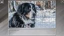 Super Jigsaw Puzzle: Generations - Dogs 3 Screenshot 1