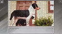 Super Jigsaw Puzzle: Generations - Dogs 3 Screenshot 21