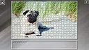 Super Jigsaw Puzzle: Generations - Dogs 3 Screenshot 27
