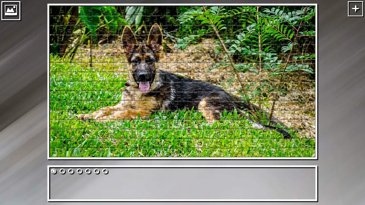 Super Jigsaw Puzzle: Generations - Dogs 3 Screenshot 16