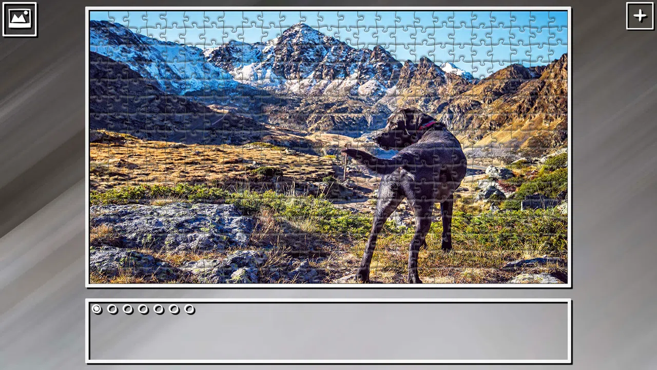 Super Jigsaw Puzzle: Generations - Dogs 3 Screenshot 12