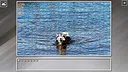 Super Jigsaw Puzzle: Generations - Dogs 3 Screenshot 11