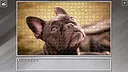 Super Jigsaw Puzzle: Generations - Dogs 3 Screenshot 25