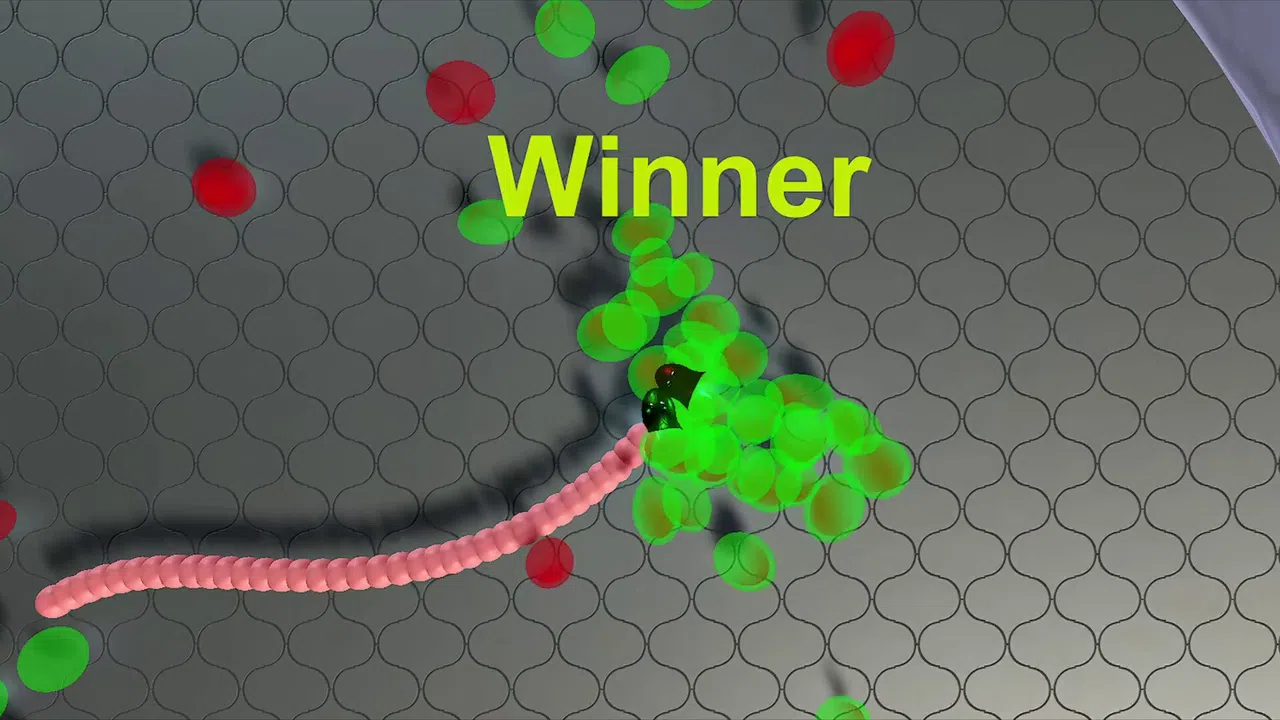 Snekteks Screenshot 0
