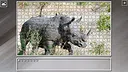 Super Jigsaw Puzzle: Generations - South Africa Screenshot 10