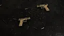 Insurgency: Sandstorm -  Wheat Weapon Skin Set Screenshot 5