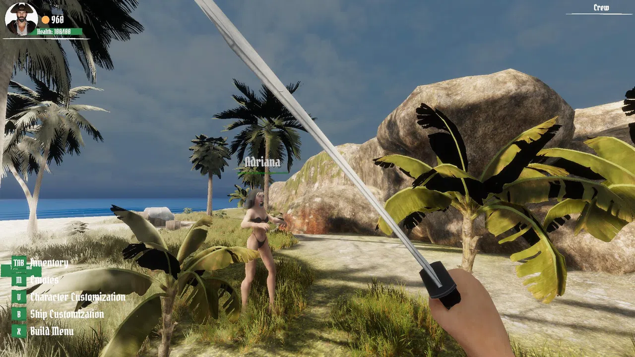 Pirate Skulls and Sails Online Screenshot 7