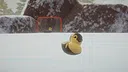 Placid Plastic Ducklings Screenshot 4