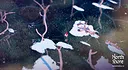 North Shore Screenshot 6