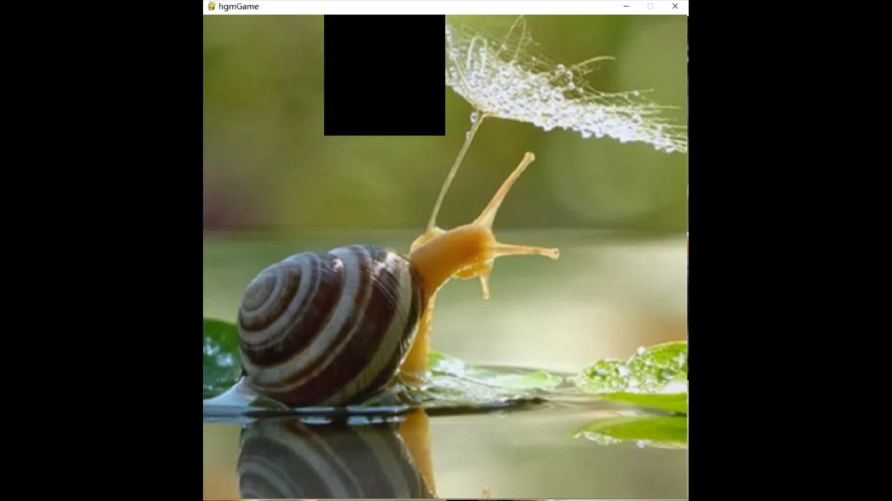 hgmGame-snail Screenshot 0