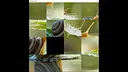 hgmGame-snail Screenshot 2